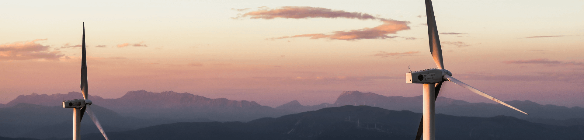 �ⰺ���� | �����˶���������������